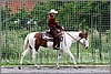 IMG_4653n.jpg(59,3 KB)
