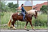 IMG_4656n.jpg(56,2 KB)
