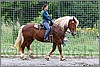 IMG_4657n.jpg(59,6 KB)