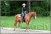 IMG_4660n.jpg(51,2 KB)