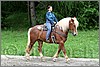 IMG_4664n.jpg(50,2 KB)