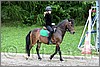 IMG_4665n.jpg(52,7 KB)