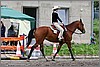 IMG_4668n.jpg(47,7 KB)