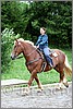 IMG_4676n.jpg(53,7 KB)