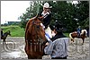IMG_4693n.jpg(45,1 KB)