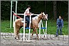 IMG_4706n.jpg(46,4 KB)