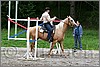 IMG_4707n.jpg(48,0 KB)