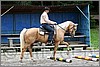 IMG_4708n.jpg(45,1 KB)