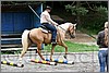IMG_4710n.jpg(45,8 KB)
