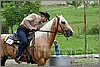 IMG_4717n.jpg(44,5 KB)
