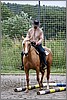 IMG_4719n.jpg(53,2 KB)