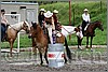 IMG_4727n.jpg(52,0 KB)