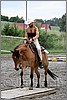 IMG_4732n.jpg(44,0 KB)