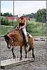 IMG_4734n.jpg(44,2 KB)