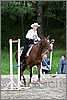 IMG_4737n.jpg(44,8 KB)