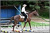 IMG_4738n.jpg(45,9 KB)