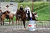 IMG_4740n.jpg(50,9 KB)