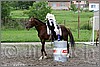 IMG_4741n.jpg(52,4 KB)