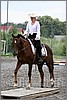 IMG_4744n.jpg(42,0 KB)