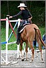 IMG_4749n.jpg(43,3 KB)