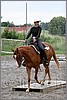 IMG_4758n.jpg(42,2 KB)