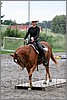 IMG_4759n.jpg(43,0 KB)
