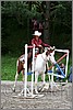 IMG_4765n.jpg(44,9 KB)