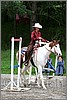 IMG_4766n.jpg(44,5 KB)