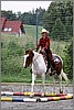 IMG_4771n.jpg(52,4 KB)