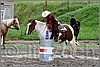 IMG_4772n.jpg(51,5 KB)