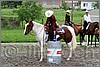 IMG_4773n.jpg(52,7 KB)