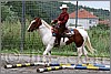 IMG_4774n.jpg(54,3 KB)