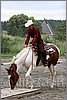 IMG_4776n.jpg(43,6 KB)