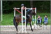 IMG_4783n.jpg(46,7 KB)