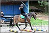 IMG_4788n.jpg(44,9 KB)