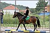 IMG_4794n.jpg(52,1 KB)