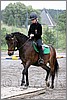 IMG_4795n.jpg(44,2 KB)