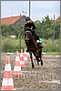 IMG_4818n.jpg(38,5 KB)