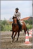 IMG_4826n.jpg(37,5 KB)