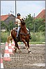 IMG_4829n.jpg(41,4 KB)