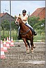 IMG_4830n.jpg(41,5 KB)