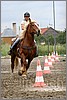 IMG_4833n.jpg(39,6 KB)
