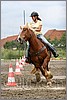 IMG_4834n.jpg(39,8 KB)
