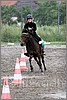 IMG_4844n.jpg(43,0 KB)