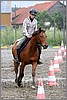IMG_4856n.jpg(42,3 KB)