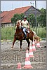 IMG_4861n.jpg(47,5 KB)