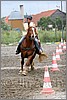 IMG_4864n.jpg(45,1 KB)