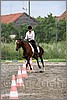 IMG_4878n.jpg(47,3 KB)