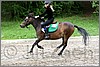 IMG_4906n.jpg(47,5 KB)