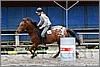 IMG_4907n.jpg(42,9 KB)